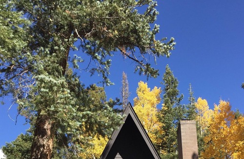 Columbine Lake Cabin | Luxury Cabin with Incredible Lake View! Sleeps 8
