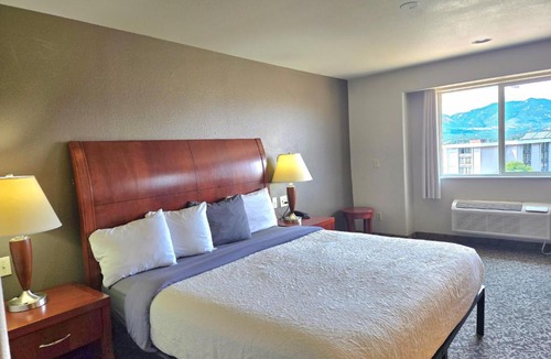 Briargate Hotel | Olympia Inn