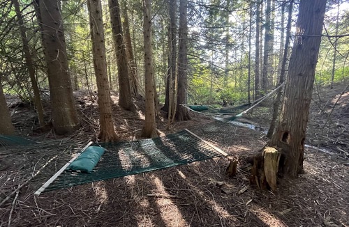 Blanchard Cabin | Private Forest Lodge Near Silverwood Theme Park - Sleeps 10