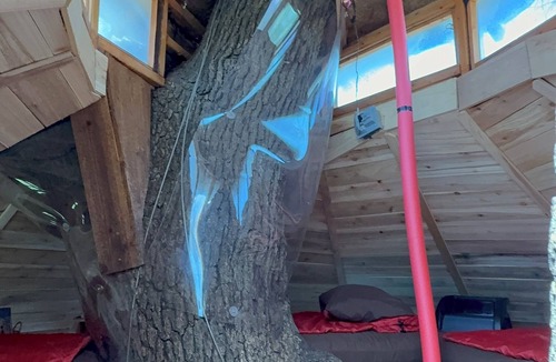 Celeste Bed & Breakfast | Relax amongst the trees in this beautiful romantic treehouse