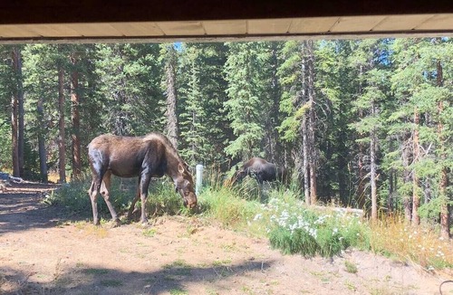 Valley of the Sun Cabin | RidgeviewReverie -with HOT TUB near Fairplay/Breck