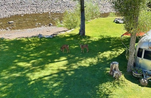 Pagosa Springs House | River Bend Retreat Downtown