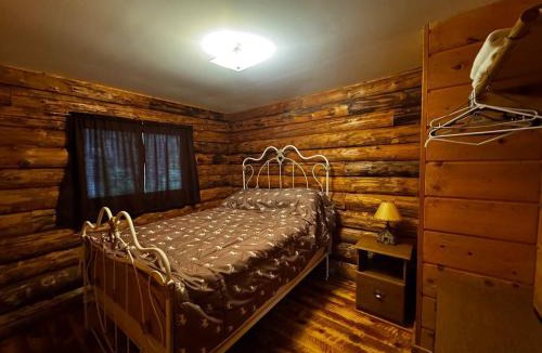 Crystal Falls House | Riverfront Cabin 8