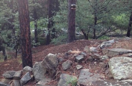 Prescott Cabin | "Rustic Serenity"
