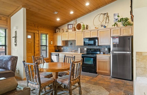 Branson Theater District Cabin | Rustic Studio Cabin with King Bed and Jacuzzi Tub