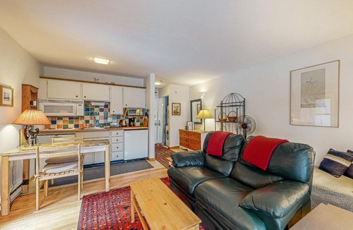 Warm Springs Apartment | Snow Run Studio