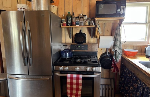 Dubois Cabin | Togwotee Pass RamsHorn Peak Cabin + 15 Acres, Great view, Animal friendly.