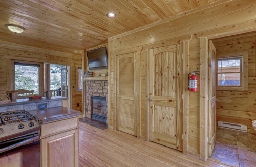 Pagosa Springs Cabin | Tubing Promo! Riverfront Cozy Cabin, Gas Fireplace, Pet-Friendly, Close to Downtown and Nature!