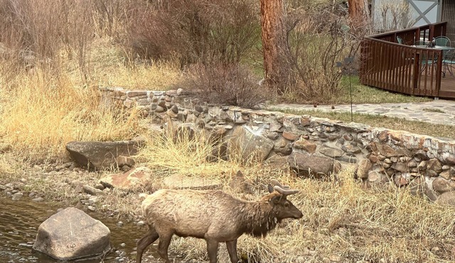 1 bed Cabin on the Big Thompson River 5 min to Estespark with HOT TUB and grill