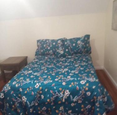 a nice one bedroom free parking