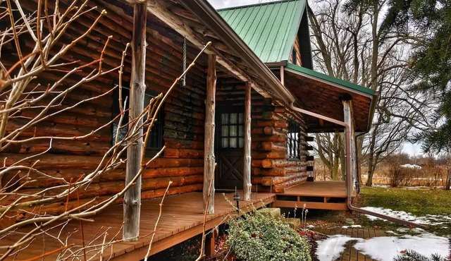 Authentic log cabin! in Youngstown