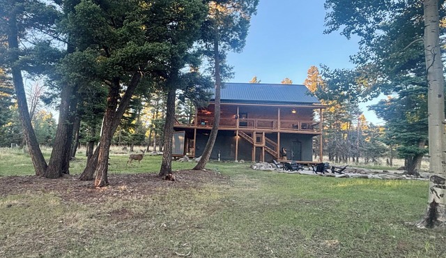Bear Necessities Lodge on Ski Mountain Fire Pit, Large Deck, Grill & Wildlife