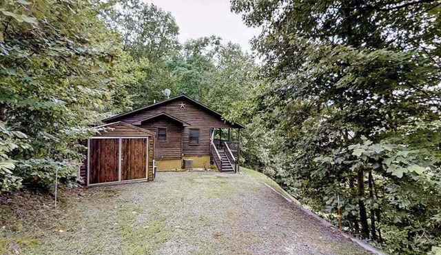 Black Bear Den in Murphy
