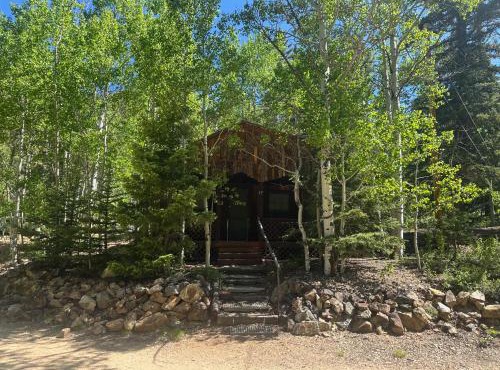 Brown Dog Cabin With High Speed Wifi And Ac
