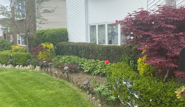 Charming 1-bedroom with WiFi and central AC in Brooklyn