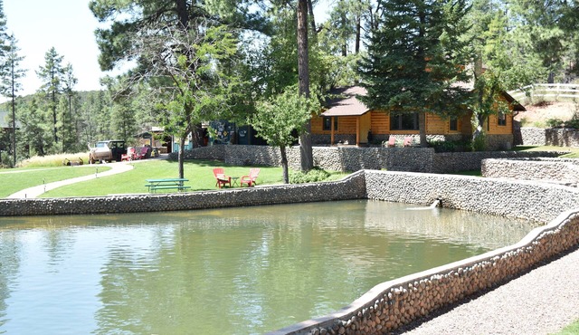Charming Log Cabin Beautiful Tonto Creek! Wedding & Event Venue
