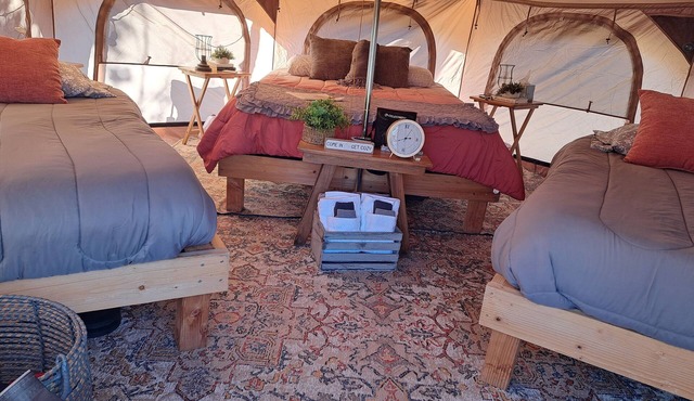 Comfy Beds and Hot Shower Awaits You