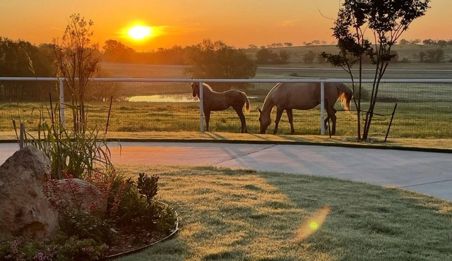 Cozy studio with queen pullout sofa on scenic working ranch in Fort Worth.