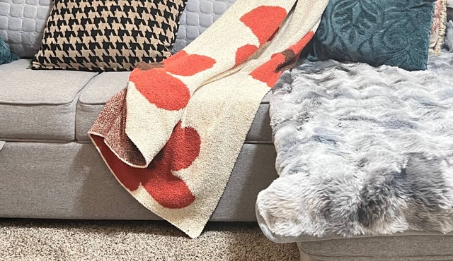 Cozy townhouse in West Lawrence