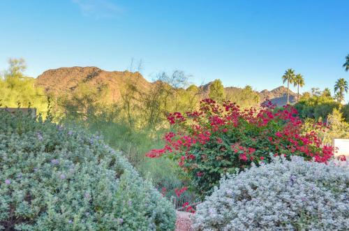 Deck & Resort Amenities: Phoenix Escape By Hiking