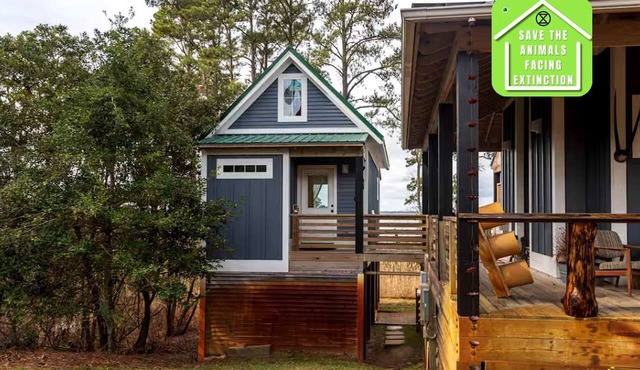 Elevated Cabin in the Trees Perfect for a Weekend Getaway in the Outer Banks, North Carolina