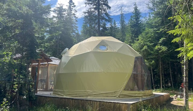 Forest Glamping Dome in Clark Fork