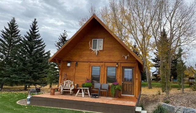 Hilltop Cabin in Monarch