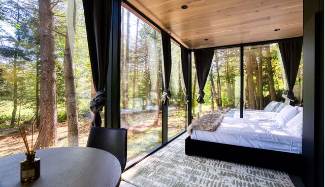 Iconic Glass Mirror Cabin · Forest View · Private Fire Pit · Catskills Hideaway