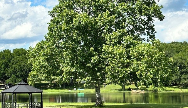 Lakefront home with all of the ingredients for a perfect family getaway!