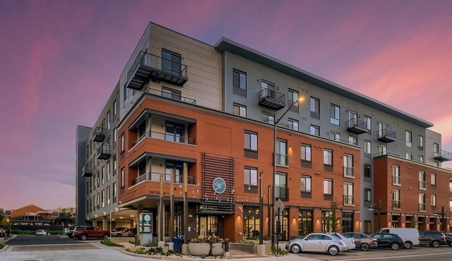 Landing | Stylish Studio in Fort Collins
