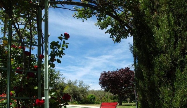 Magic: the completely renovated stone Mazet in Cotignac