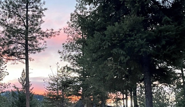 Mountain modern cabin on 9 acres of forest with lake views & close to town.