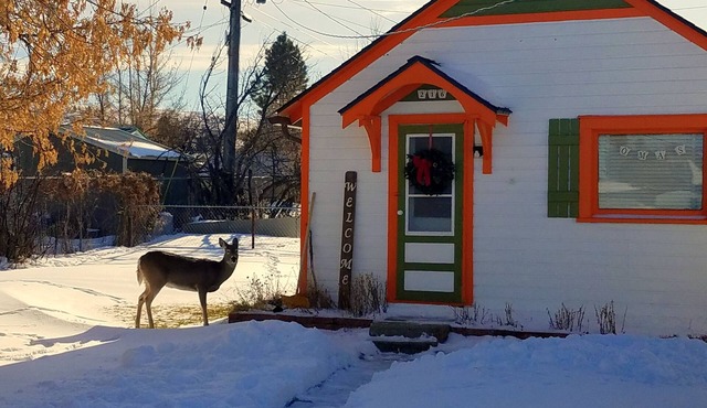 Oma's 1890 Cottage with Hot Tub & Sauna in Red Lodge Montana
