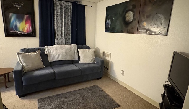 Peaceful Study 1-bedroom apartment in brilliant Geneseo with WiFi in Geneseo