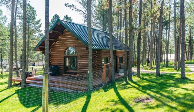 Pine Cabin- Log cabin close to Custer
