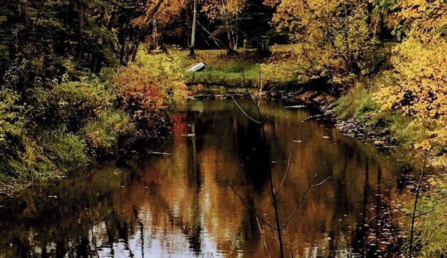 Private Riverfront Retreat Surround in Nature Near Lake of the Woods. Sleeps 10+
