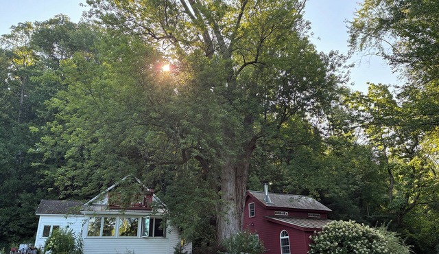 Remote romantic Vermont hideaway.Long term rentals preferred.