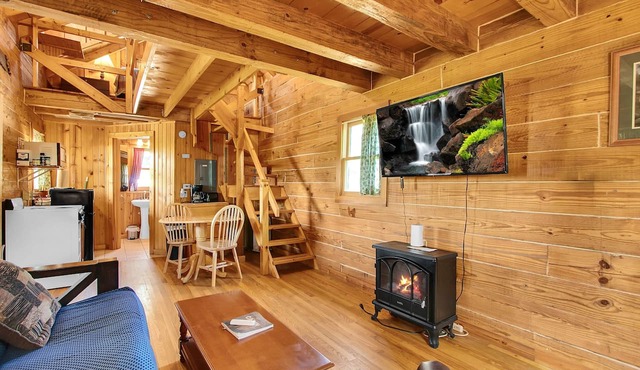 Rustic River Cabin 2 in Savanna