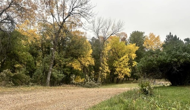 Spacious Cabin with Fire Pit, Perfect for a Family Getaway to Custer State Park