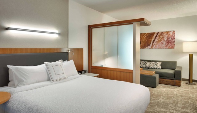 SpringHill Suites by Marriott Vernal in Vernal