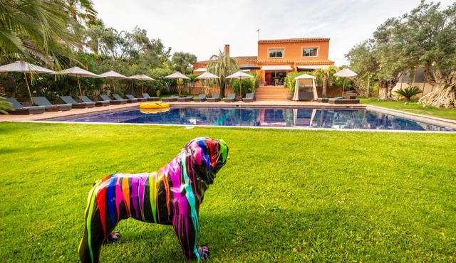 Villa peacock in Le Grau-dʼAgde
