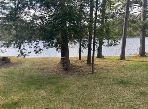 Waterfront Adirondack Cabin, Private River Access