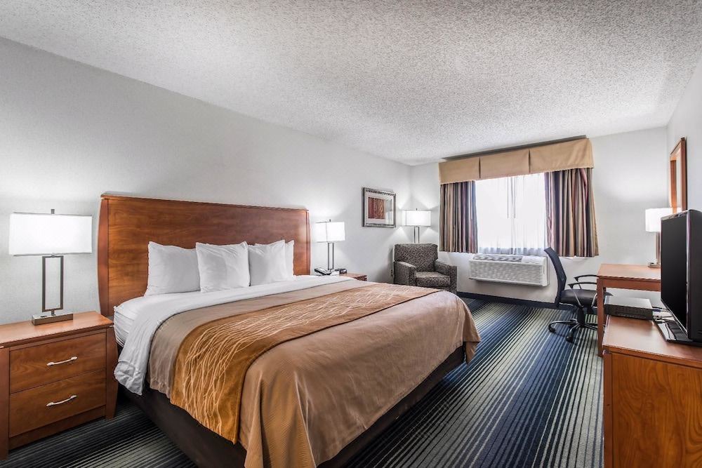 Photo of Bedroom in South Westminster