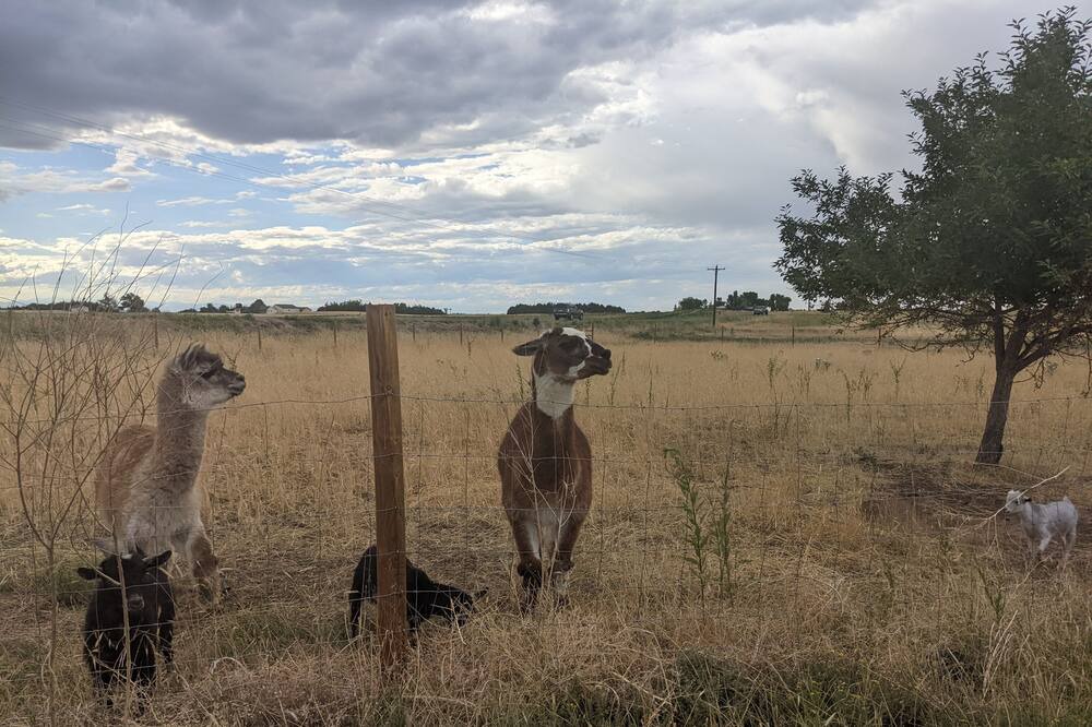Photo of Outdoor in Commerce City