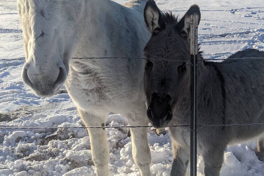 Photo of Others in Commerce City