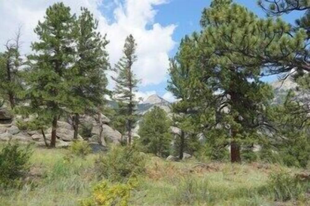 Photo of Outdoor in Estes Park