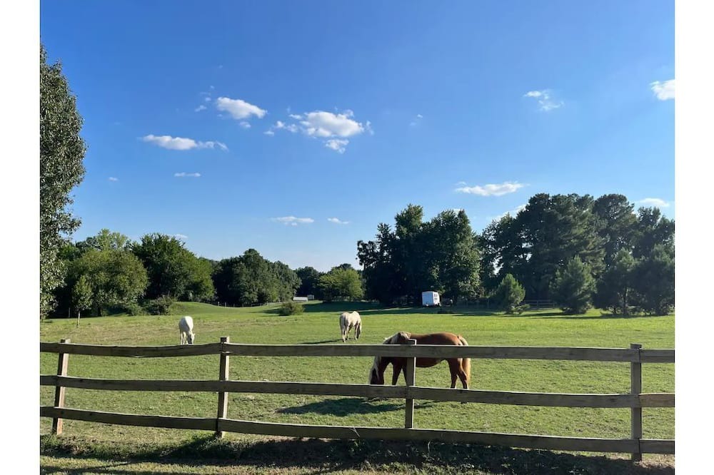Photo of Outdoor in Sand Springs