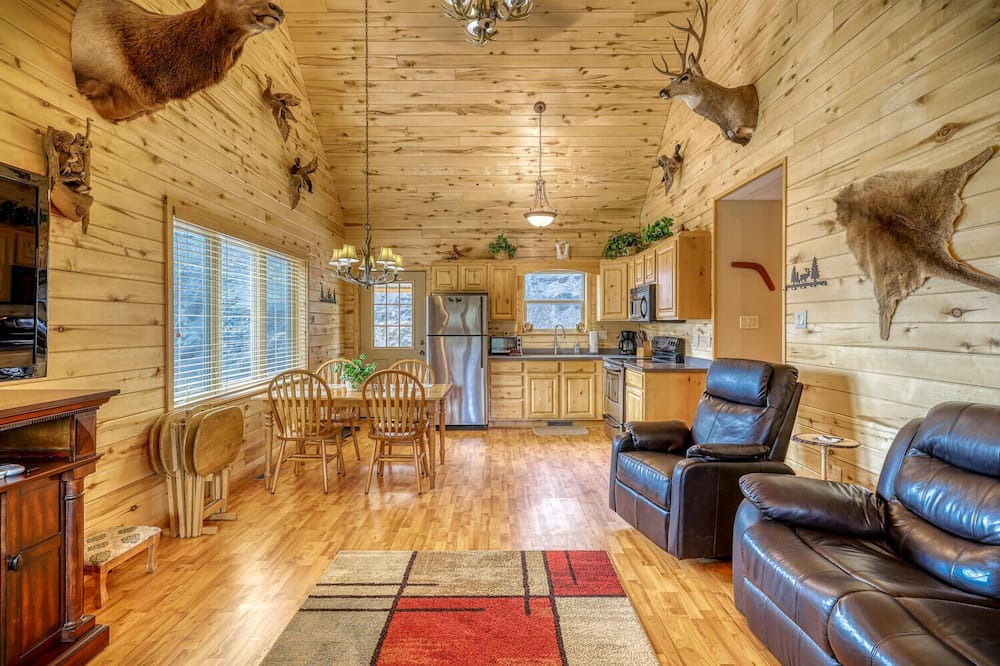 Photo of Livingroom in Pagosa Springs