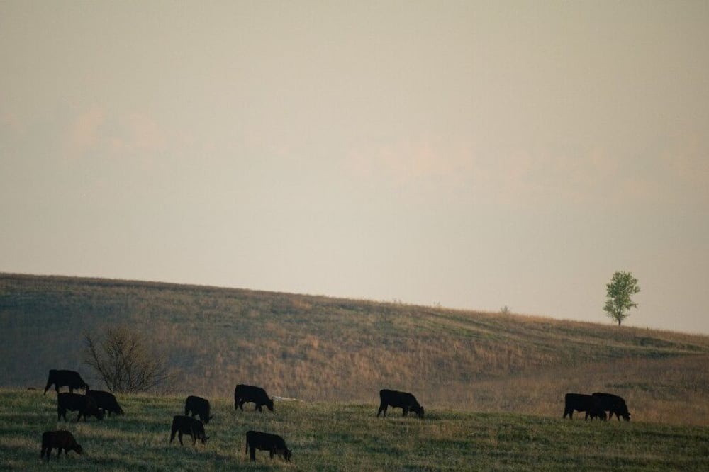 Photo of Others in Loup City