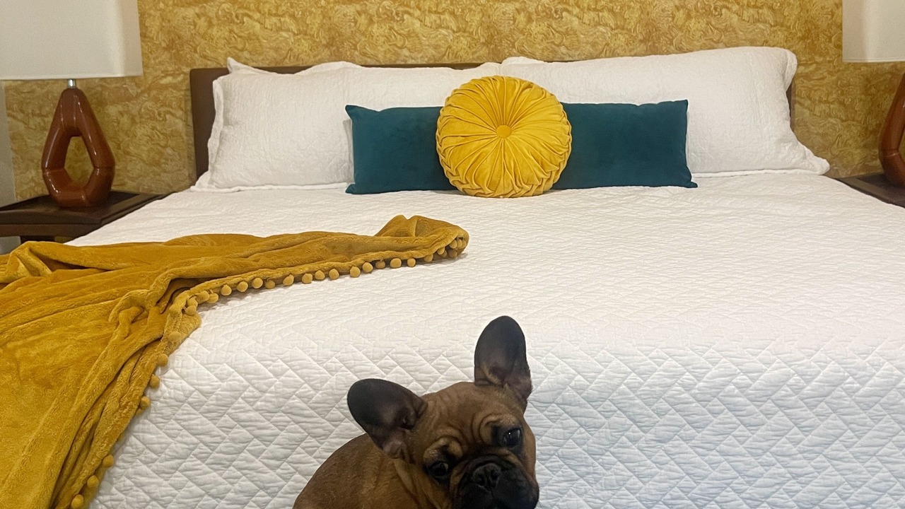 Photo of Bedroom in Galena